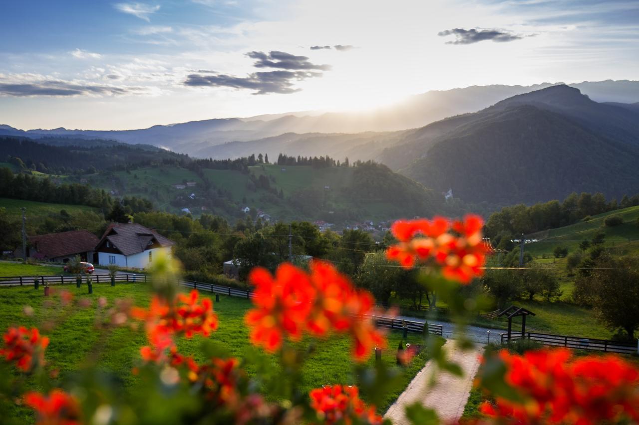 Bran Monte Crai Chalet 외부 사진