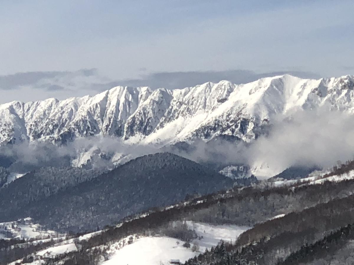 Bran Monte Crai Chalet 외부 사진